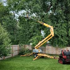 Best Organic Lawn Care Solutions  in Chickasha, OK