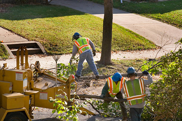 Best Lawn Pest Prevention  in Chickasha, OK